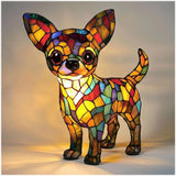 Vida com um chihuahua
